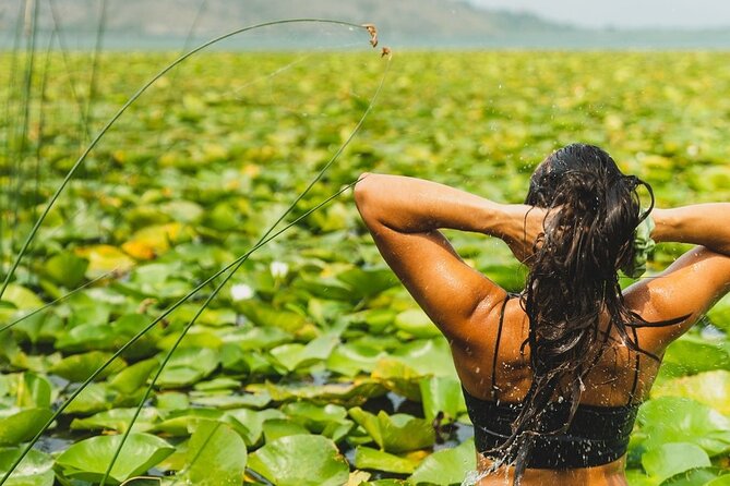 1-hour Kayak Adventure through Skadar Lake from Virpazar - Key things I’d bookmark before you go