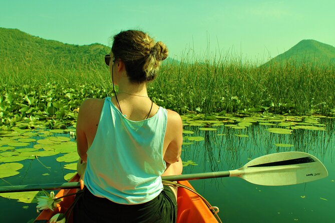 1-hour Kayak Adventure through Skadar Lake from Virpazar - Paddling Lake Skadar for one hour: what to expect from the effort