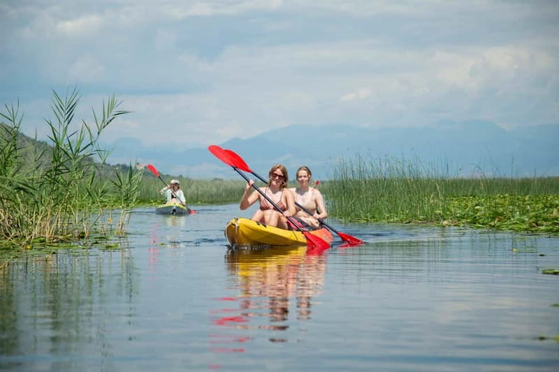 All Day Self-Kayaking to secret spots and wildlife observing - Key things to know before you go