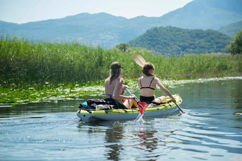 All Day Self-Kayaking to secret spots and wildlife observing - The kayak route and each stop: lilies, beaches, and wildlife pauses