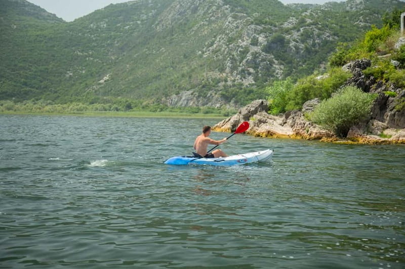 All Day Self-Kayaking to secret spots and wildlife observing - Birdwatching on a 280+ species lake: what to look for