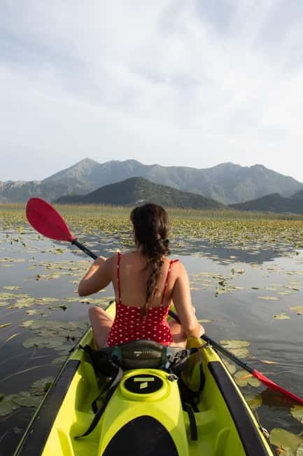 All Day Self-Kayaking to secret spots and wildlife observing - White water lilies and why the paddling feels different