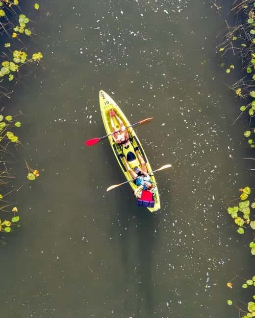 All Day Self-Kayaking to secret spots and wildlife observing - Gear, what to bring, and how to avoid a sore day
