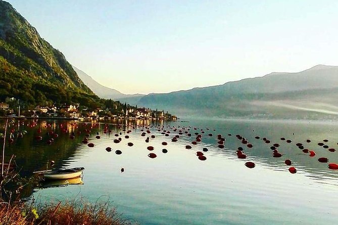 Around Boka Bay Private tour - The Kamenari to Lepetane ferry crossing: short, scenic, useful