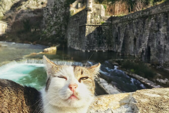 Authentic Kotor Old Town Walking Tour - Starting at Trg od Oružja and keeping your pace comfortable