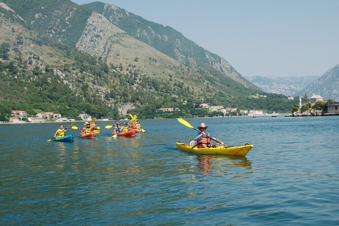 Bay of Kotor: 2.5-Hour Kayak Tour - Price and value: $60.21 for a short, complete outing