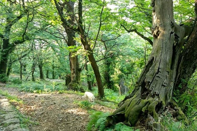 Bike & hike tour - The hike: short distance, serious uphill effort