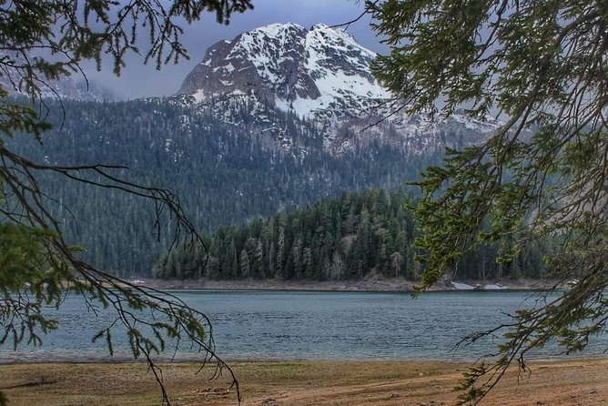 Black Lake and Djurdjevica Tara Bridge (Private tour) - Key highlights that matter