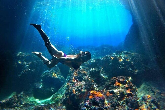 Blue Cave and Kotor Bay Luxurious Cruise Tour 3H+ - Key things to know before you go