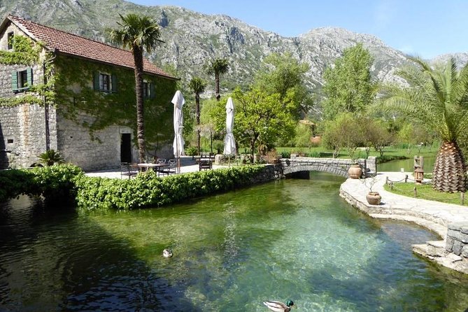Boka Bay tour by car or speedboat (Private tour) - When Porto Montenegro shows up on the route