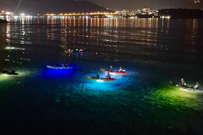 Budva: 2-Hour «Night Lights» Kayak Tour - LED kayaks and the glowing seabed, plus the sea life you might spot