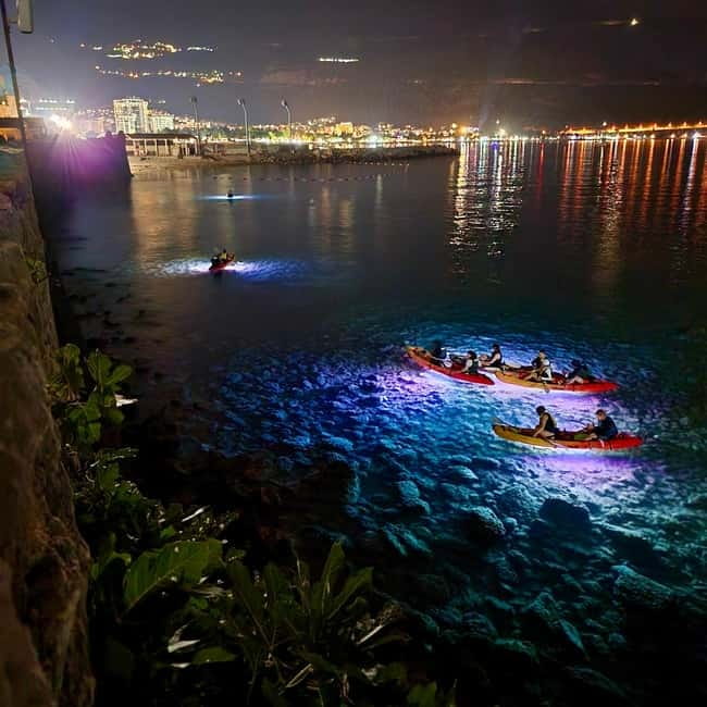 Budva: Night Lights Kayaking Tour - Key Points You’ll Want to Know Before You Go