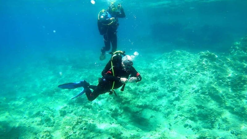 Budva: Scuba Diving Experience - The Short Catamaran Ride Along Budva’s Coast