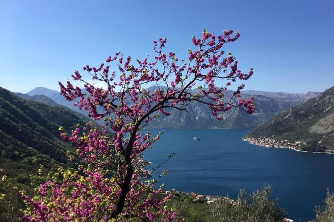 Cycling and hiking short tour through the bay of Kotor - Guides, Personalization, and the Value of Having the Right Person Talk to You