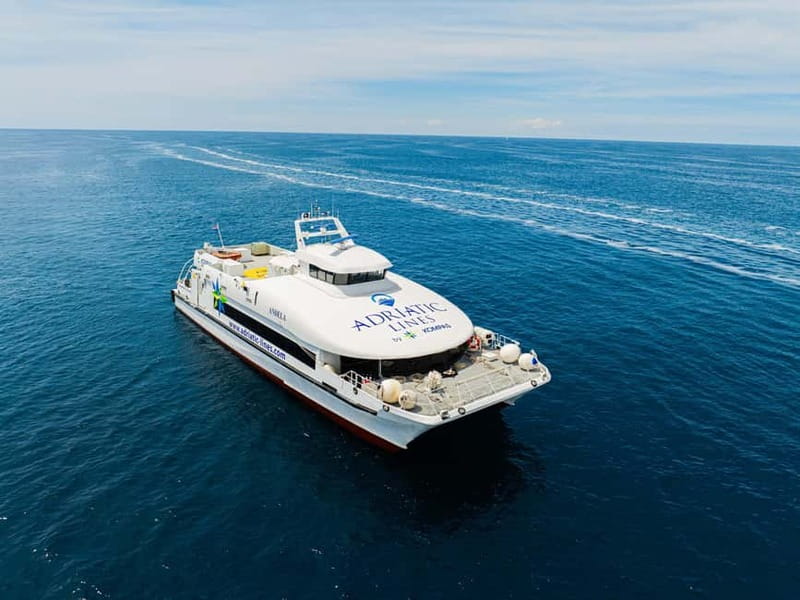 Dubrovnik to/from Kotor: Day Trip or One-Way by Fast Ferry - Return by ferry and the 16:30 check-in rule