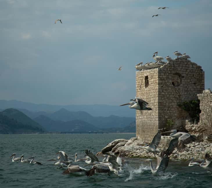 Experience Skadar Lake in 1h! - Who This Skadar Lake Kayak Tour Fits Best