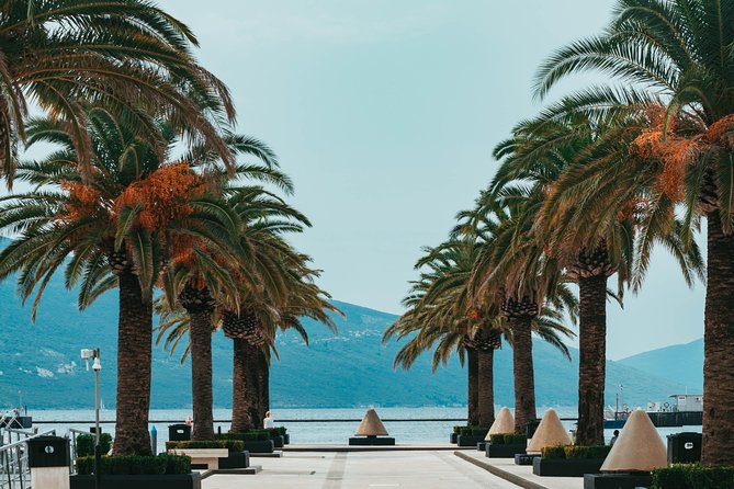 Explore Adriatic Coast of Montenegro - Private Budva & Tivat Tour - Tivat: Pine promenade and the jump to Porto Montenegro
