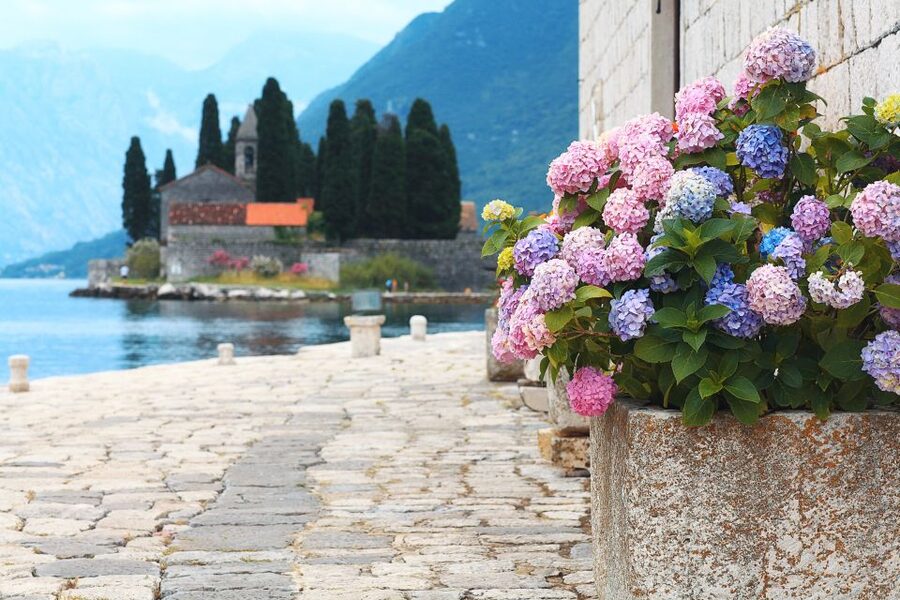 From Dubrovnik: Montenegro Highlights Day Tour - Guides, Stories, and the Human Side of the Day