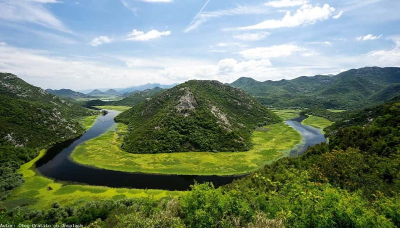 From Kotor, Budva, Tivat: Skadar Lake Boat Tour & Wine - Skadar Lake National Park boat cruise, birds, fish, and real quiet