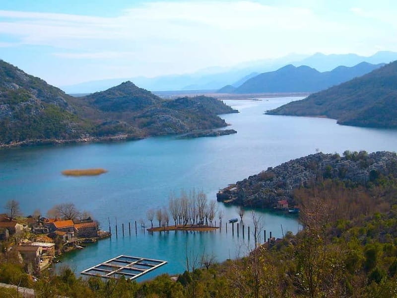 From Kotor, Budva, Tivat: Skadar Lake Boat Tour & Wine - Should you book this tour?