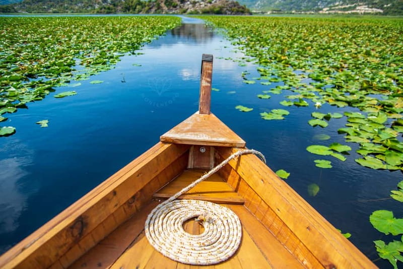 From Kotor, Budva, Tivat: Skadar Lake Boat Tour & Wine - Budva and Sveti Stefan photo stops, fast views that set expectations