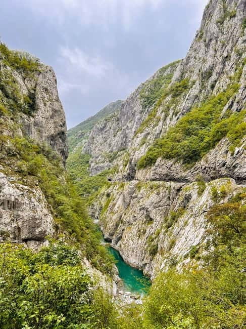 From Podgorica: Biogradska Gora NP & Moraca monastery&Canyon - Should you book the Morača and Biogradska Gora day tour?