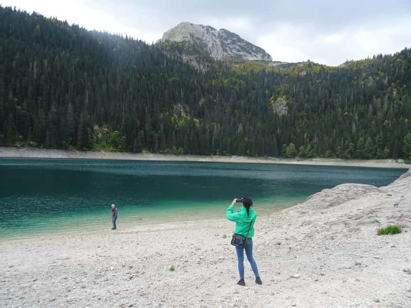 From Podgorica: Durmitor NP & Tara canyon-Amazing Montenegro - Should you book this Durmitor and Tara day trip?