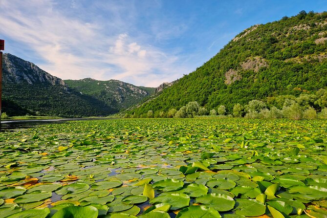 From Virpazar: Visit Karuč, the hidden pearl of Lake Skadar - Starting in Virpazar at Kingfisher, and what is included