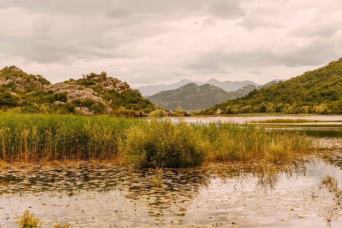 From Virpazar: Visit Karuč, the hidden pearl of Lake Skadar - Lesendro fortress appears through the water chestnuts