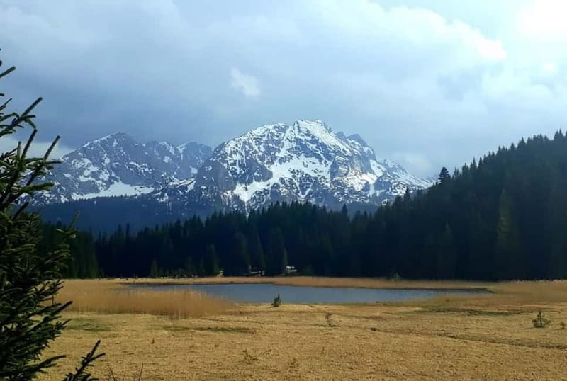 From Žabljak: Durmitor National Park Private Hiking Tour - Half-Morning Pace Through Durmitor’s Glacier Lakes