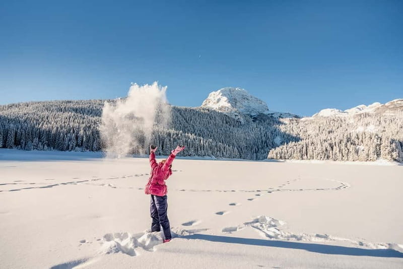 From Žabljak: Durmitor National Park Private Hiking Tour - Fog-Proof Reality: What Weather Changes Here