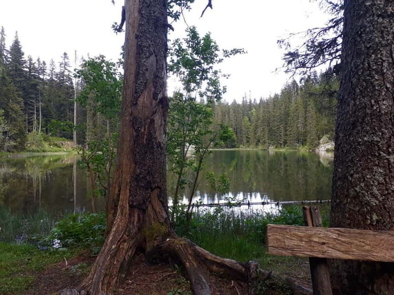 From Žabljak: Durmitor National Park Private Hiking Tour - Starting Point in Žabljak: Voli Supermarket to Crno Jezero