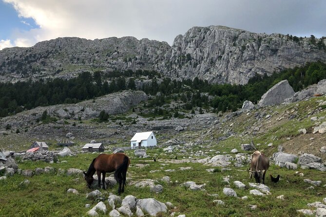 Full-Day Hiking Tour to Maganik Montenegro - Weather Can Make or Break This Day