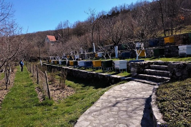 Gastronomy and Sightseeing in Montenegro - Lake Skadar & Cetinje Private Tour - Key highlights at a glance