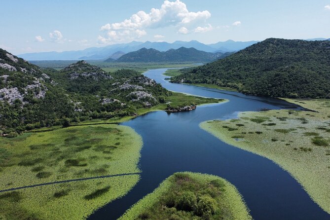 Guided Boat Tours on Lake Skadar with Local Insights - Pelinovo swim: turning the cruise into a real lake moment