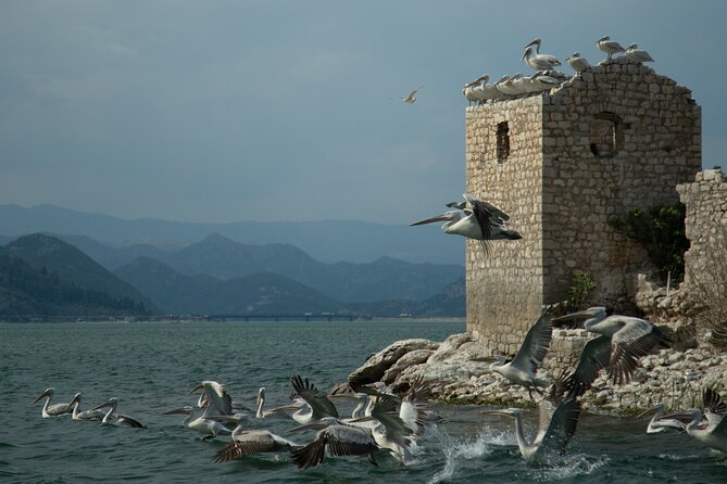 Guided Boat Tours on Lake Skadar with Local Insights - Logistics that matter: English, group size, and planning around weather