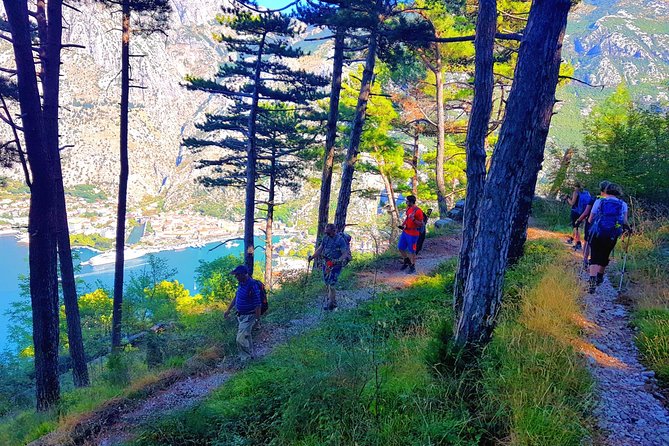 Hiking Vrmac peninsula with panoramic view on Kotor bay - St. Ilija oak forest, where the hike actually feels calm