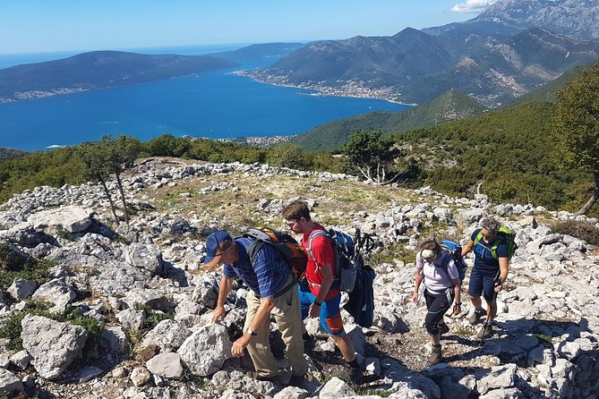 Hiking Vrmac peninsula with panoramic view on Kotor bay - Price and value, what you pay for at $106 per person