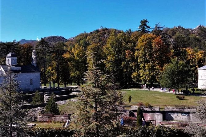 History of Montenegro - Private Cetinje and Lovcen national park tour - Bird and plant life: what to watch for beyond photos