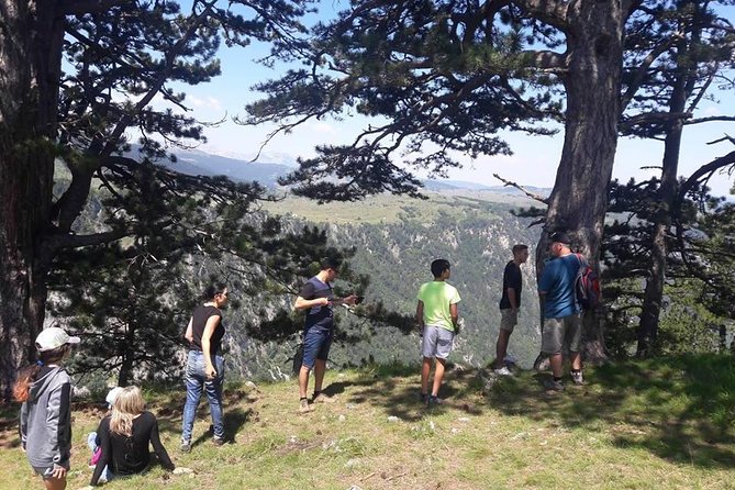 Jeep tour in National park Durmitor - Where This Durmitor Jeep Tour Starts in Kolašin
