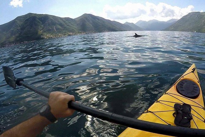 Kayak active tour - Getting oriented in Kotor, then heading out at 9:00 am