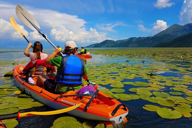 Kayak Guided Tour Skadar lake - Adventure in National park - Quick hits before you paddle