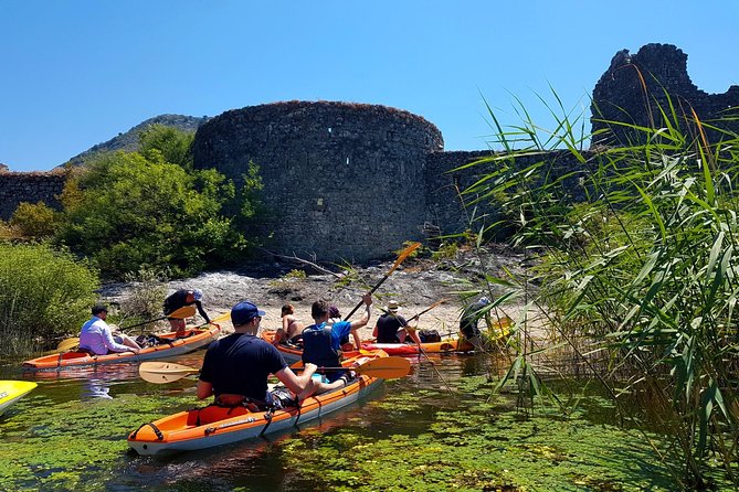 Kayak Guided Tour Skadar lake - Adventure in National park - Pelinovo beach: swim, sun time, and a included drink