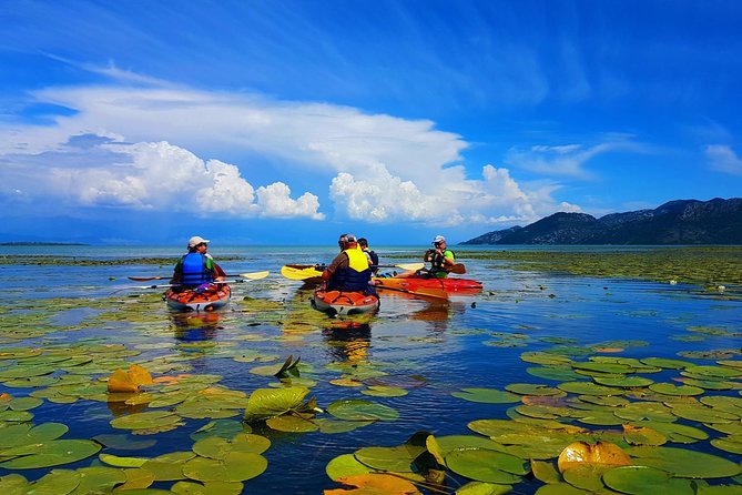 Kayak Guided Tour Skadar lake - Adventure in National park - The return route to Virpazar: same water, different mood