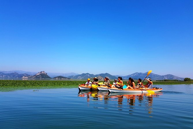 Kayak Guided Tour Skadar lake - Adventure in National park - Virpazar start: safety briefing, dry bags, and the Crmnica river under the old bridge