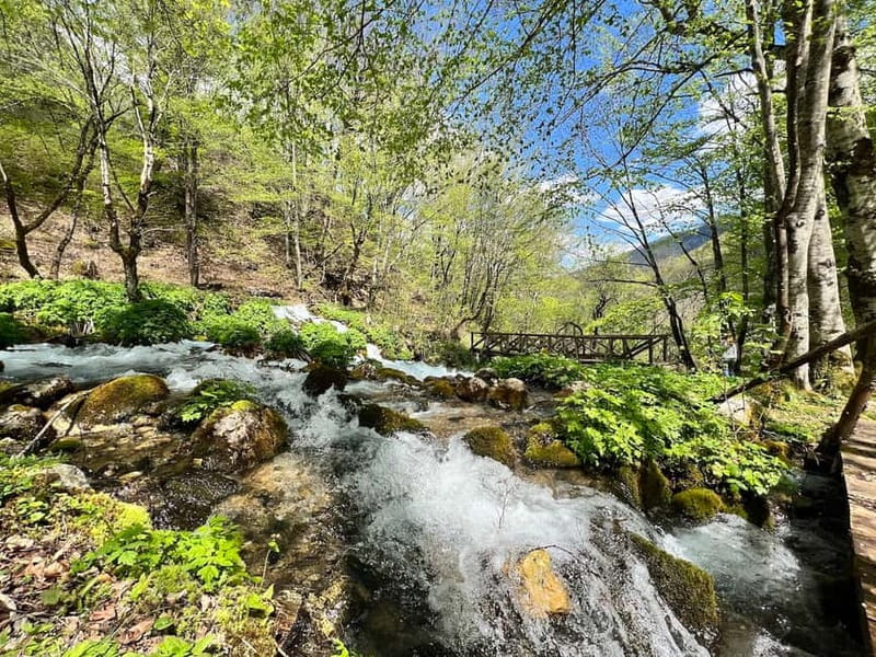 Kotor: Durmitor, Black Lake & Djurdjevica Tara Bridge Tour - Ostrog Monastery, a cliffside stop with real atmosphere