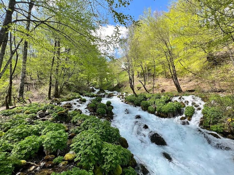 Kotor: Durmitor, Black Lake & Djurdjevica Tara Bridge Tour - Should you book this Kotor to Durmitor, Black Lake, and Tara Bridge tour?