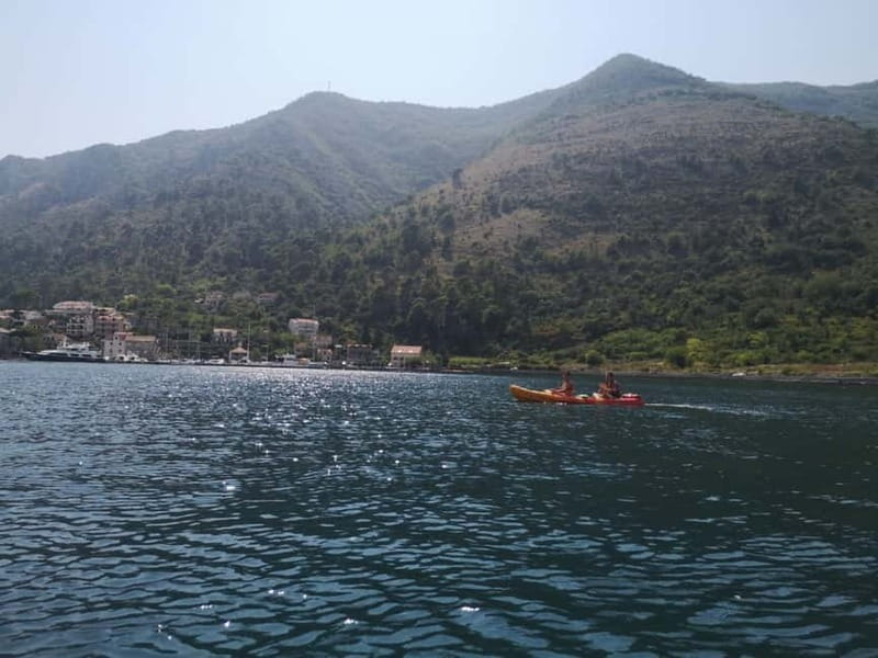 Kotor: Guided Kotor Bay Kayaking Tour - Key moments worth planning for