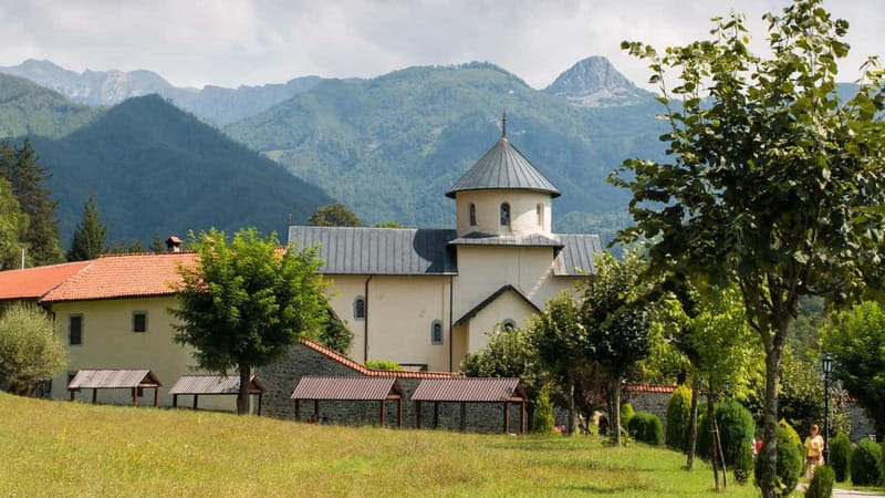 Kotor: Lake Skadar and Biograd Day Trip & Boat Ride - Lake Biograd and Biogradska Gora National Park: walking time that feels like a reset