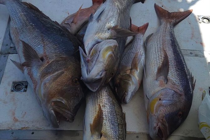 Kotor Private Fishing Adventure Blue Cave And Lunch - Price and value: $241.86 per group up to 8